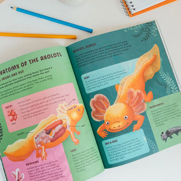 Amazing Axolotls: An Activity Book for Kids