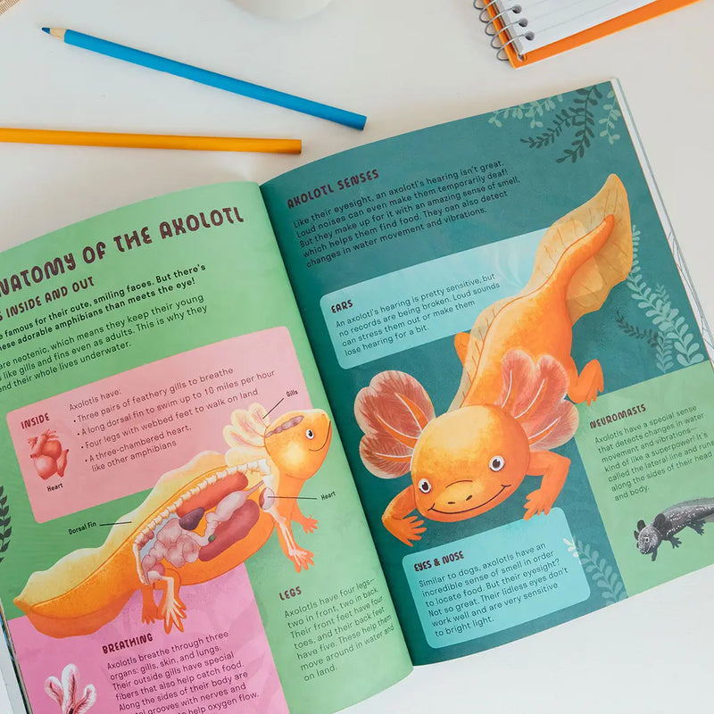 Amazing Axolotls: An Activity Book for Kids