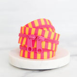 Colorful Striped Zippers