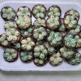 Quail Eggs Kitchen Magnet