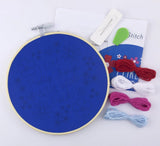 I Like Pretty Things & the Word Fuck- 6" Embroidery Kit