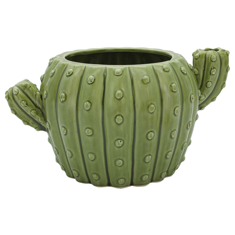 Cactus Planter