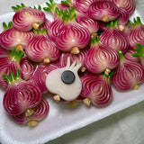 Sliced Onion Kitchen Magnet