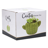 Cactus Planter
