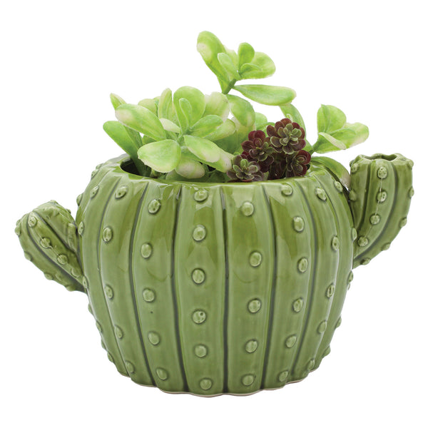 Cactus Planter
