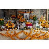 Mexico's Day of the Dead