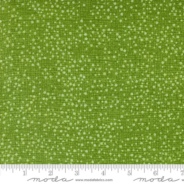 Dotty Thatched Grass - FQ