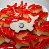 Salmon Kitchen Magnet