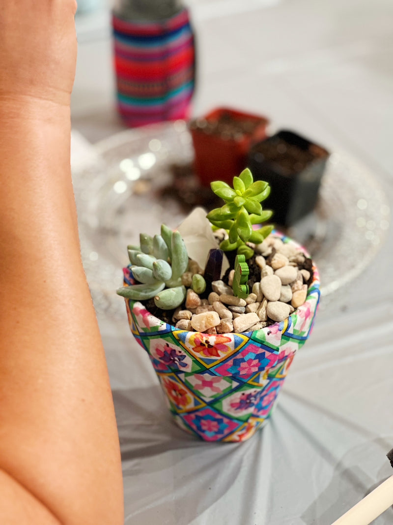 September 8, 2023 / Succulent Class w/ Cacti Jo