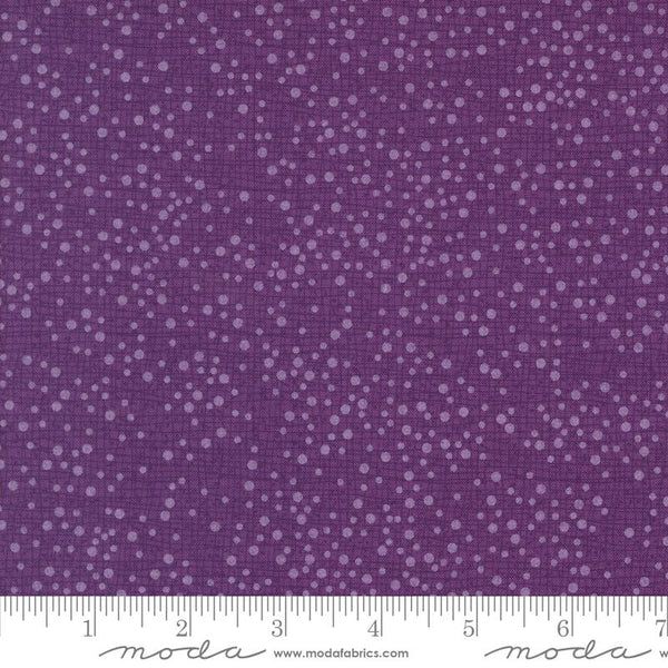 Dotty Thatched Pansy - FQ