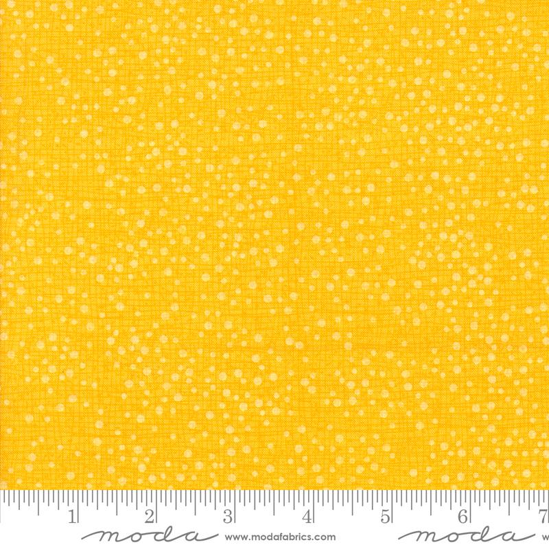 F2349 - Dotty Thatched Sunshine