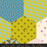 F2513 - Catnap 108 Posy