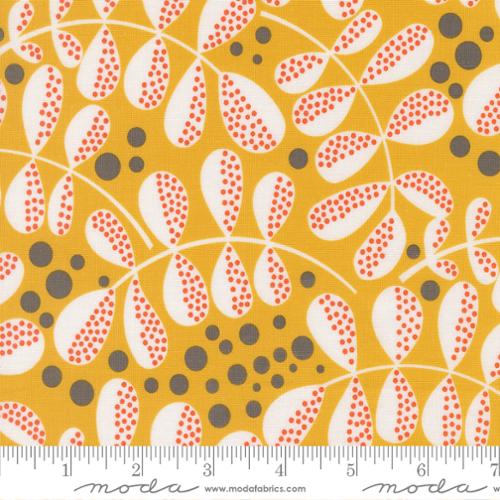 F2568 - Balisong Sunbeam 2