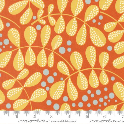 F2569 - Balisong Papaya 3