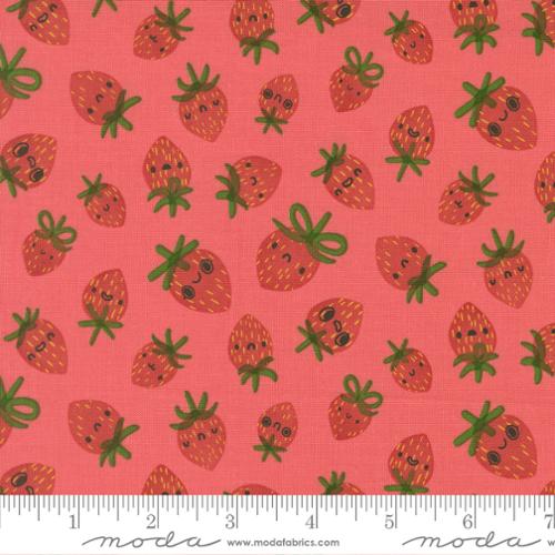 F2543 - Funny Valentine Coral
