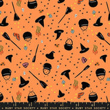 F3077 - Freaky Familiars - Witchy Woman - Pumpkin