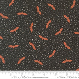 F3091 - Purrs and Boos - Bats - Black Cat