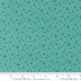 F3021 - Scenery Starlight - Poolside