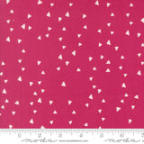 F3338 - Maker's Delight - Shocking Pink - Triangle Blender