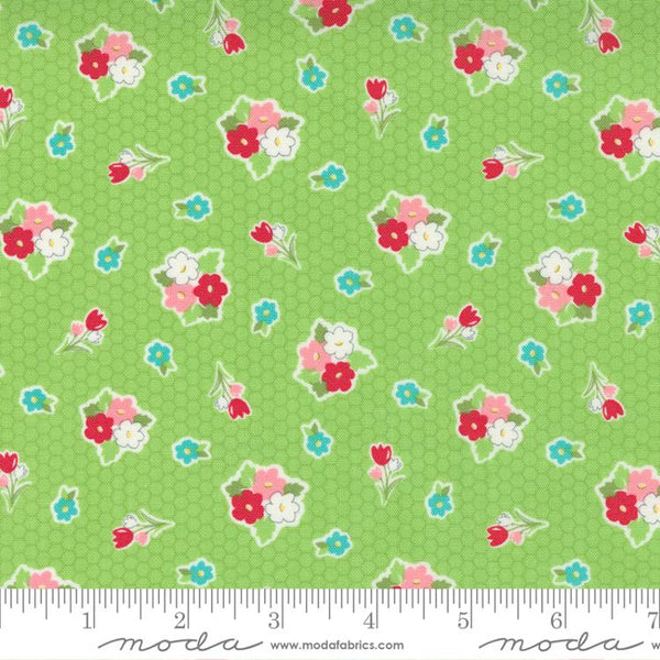 F2259 - Lovely Lily Kiwi