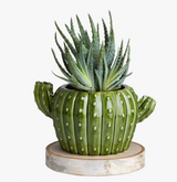 Cactus Planter