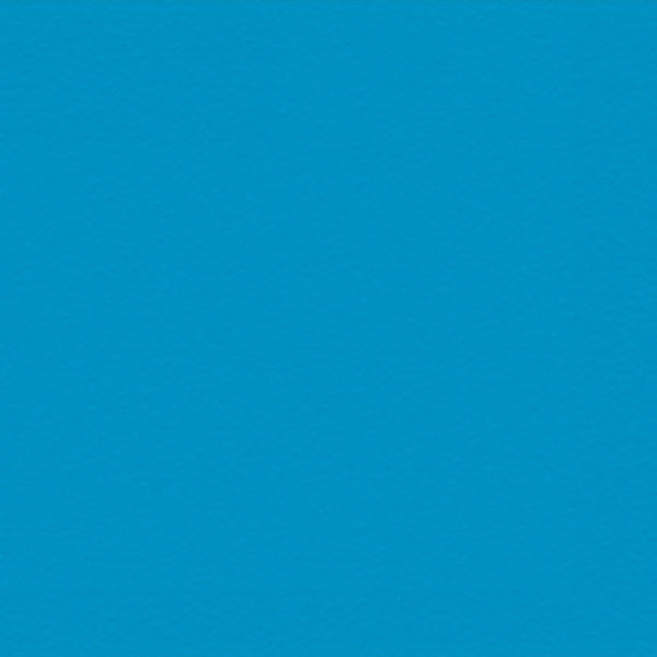 F2285 - Electric Blue Fleece