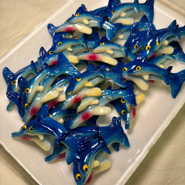Dolphin with Baby Kitchen Magnet