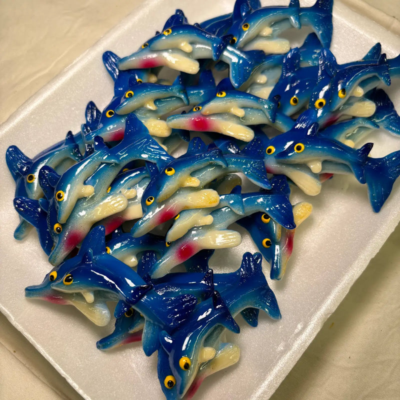 Dolphin with Baby Kitchen Magnet
