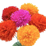 Multicolored Marigolds (6 Pack)