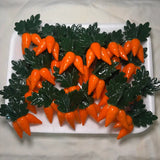 Triple Carrot Kitchen Magnet