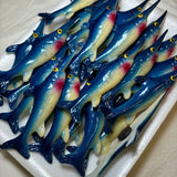 Swordfish Kitchen Magnet