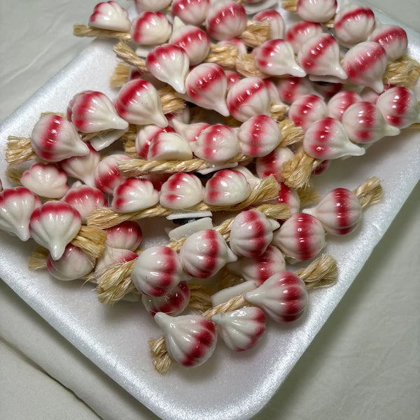 Garlic On Rope Kitchen Magnet