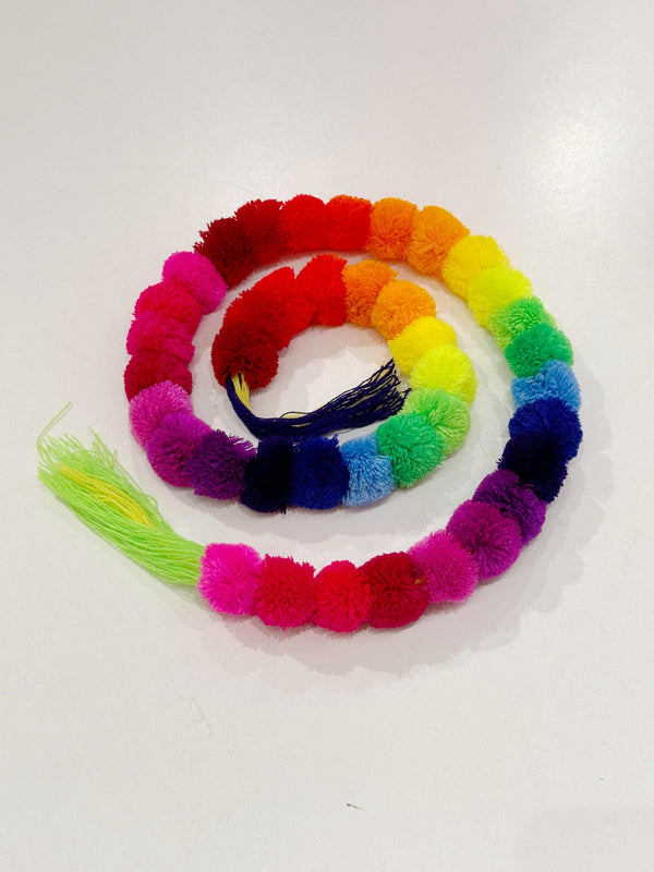 Small Rainbow Pom Garland at Sew Bonita in Corpus Christi, TX.